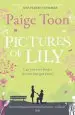 Audiobook Pictures of Lily author Paige Toon