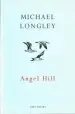 Audiobook Angel Hill author Michael Longley