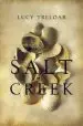 Audiobook Salt Creek author Lucy Treloar