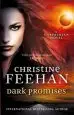 Audiobook Dark Promises author Christine Feehan