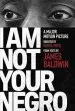 Audiobook I am not Your Negro: A Companion Edition to the Documentary Film Directed by Raoul Peck author James Baldwin