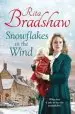Audiobook Snowflakes in the Wind author Rita Bradshaw