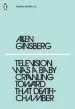 Audiobook Television was a Baby Crawling Toward That Deathchamber author Allen Ginsberg