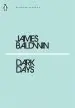 Audiobook Dark Days author James Baldwin