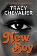 Audiobook New boy author Tracy Chevalier