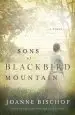 Audiobook Sons of Blackbird Mountain author Joanne Bischof
