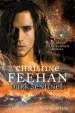 Audiobook Dark Sentinel author Christine Feehan