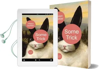 Some Trick: Thirteen Stories Audiobook download free by Helen Dewitt