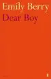 Audiobook Dear boy author Emily Berry