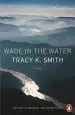 Audiobook Wade in the Water author Tracy K. Smith